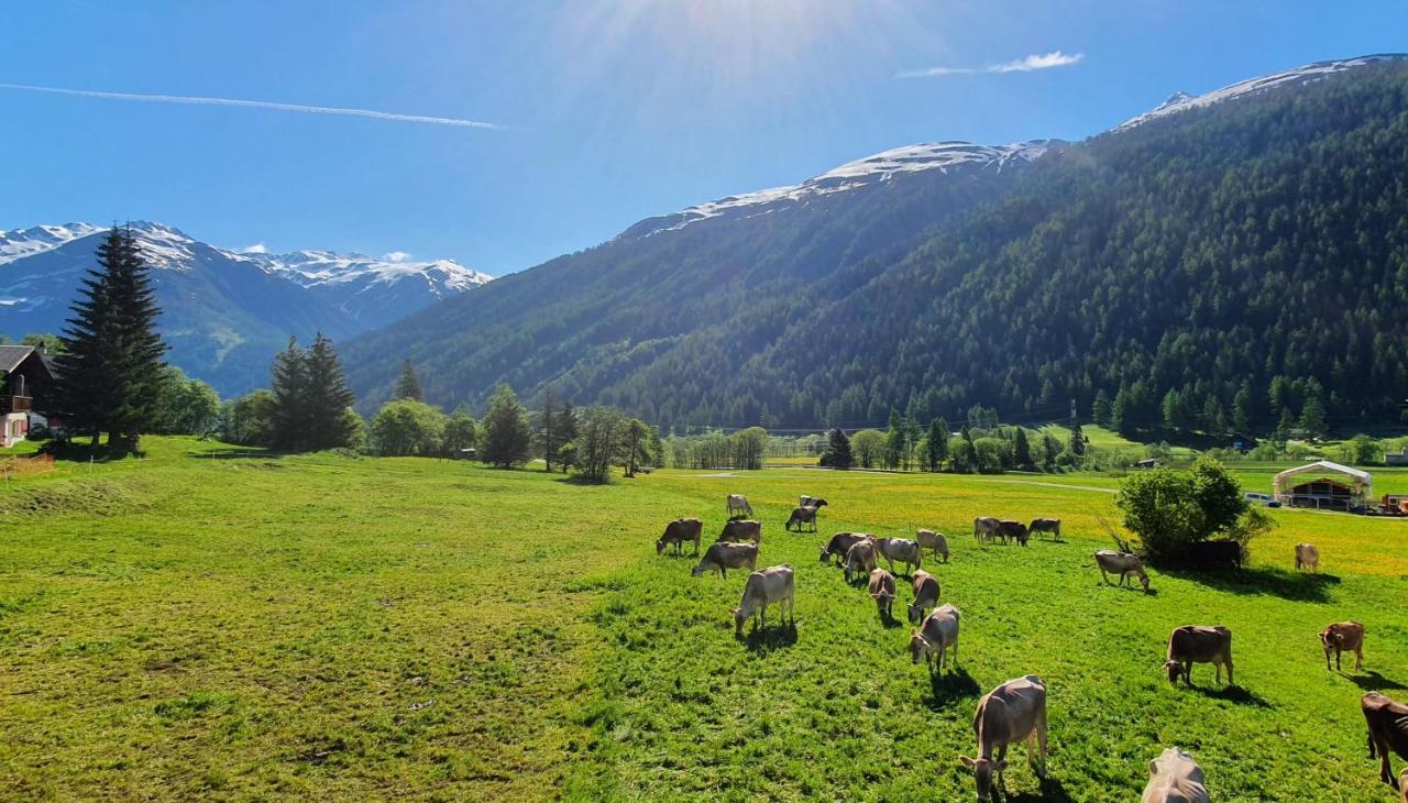 Chalet Breithorn- Perfect For Holiday With Amazing View! Obergesteln Esterno foto