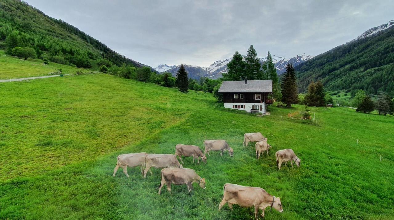 Chalet Breithorn- Perfect For Holiday With Amazing View! Obergesteln Esterno foto